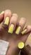 , 6 ml